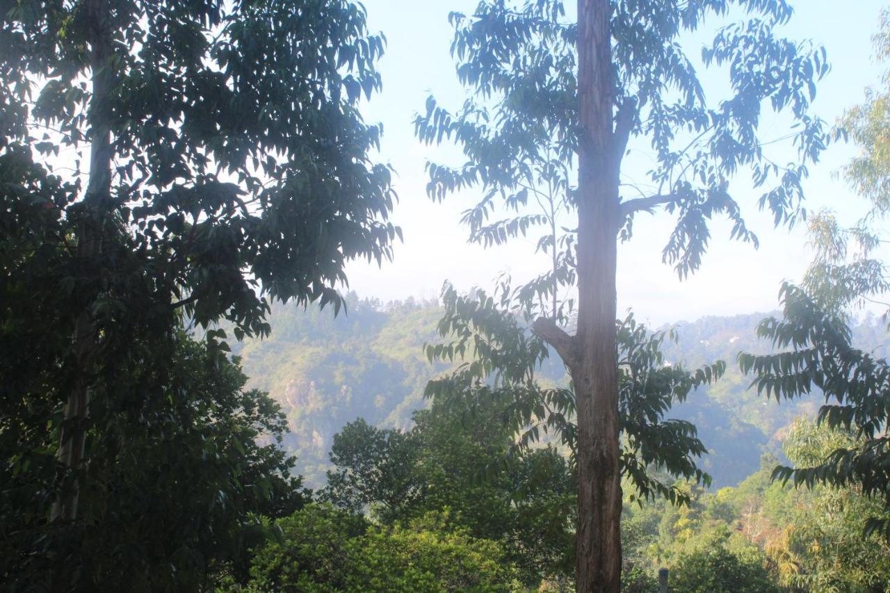 Lazy Bear Lodge Ella Esterno foto